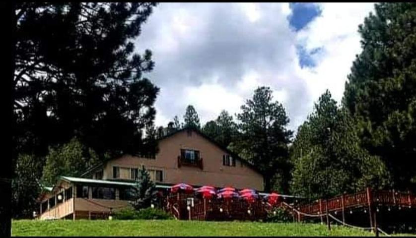 Edelweiss Resort Greer Eksteriør billede